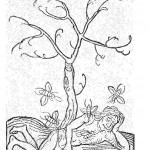 Woodcut from Hortus Sanitatis, 1491